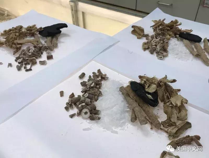 香港流行风湿药在美却是*禁品违**?华埠中药行遭起诉老板很委屈!