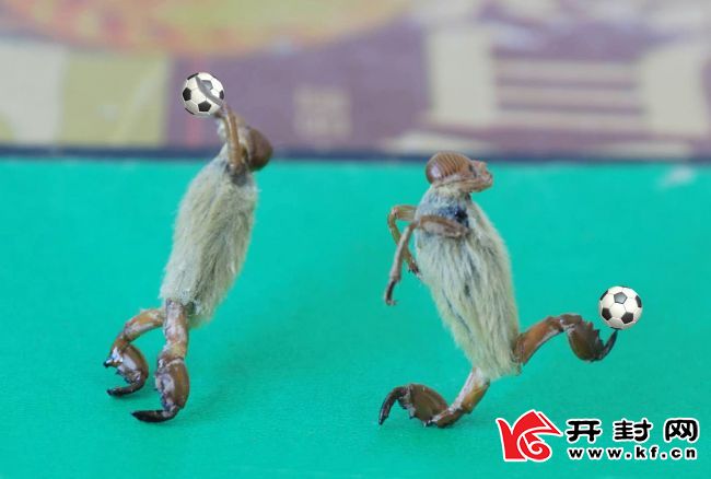 我市两位“能人”的世界杯情怀