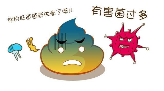 肠道健康菌群与孕产妇的关系,孕产妇必读