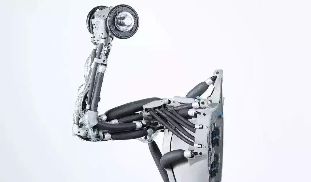 festo仿生展,festo新产品