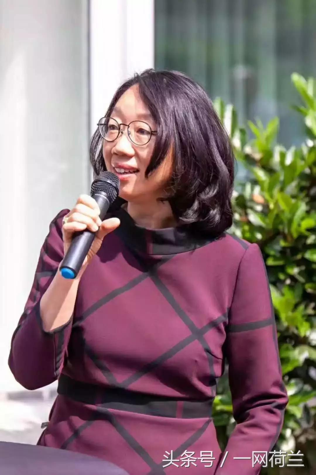 这家华人酒店有来头，海牙市长参观天台花园