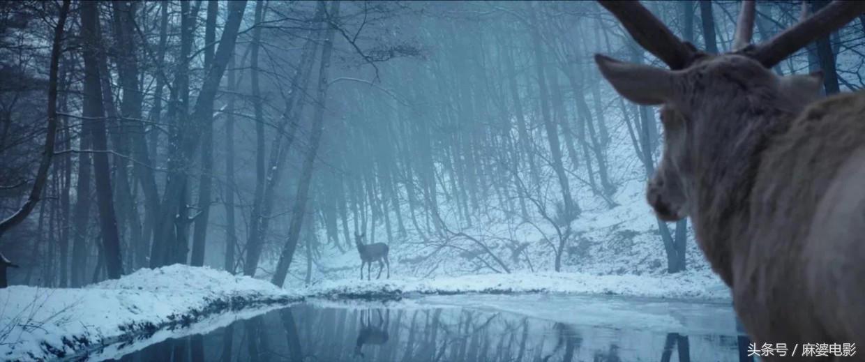 爱情片那些无法超越的经典镜头,什么爱情片最让人看得难受