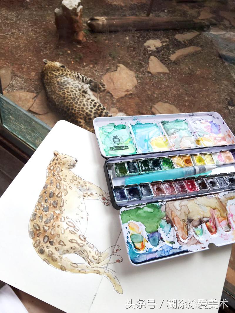 画水彩需要哪些工具,水彩工具全套