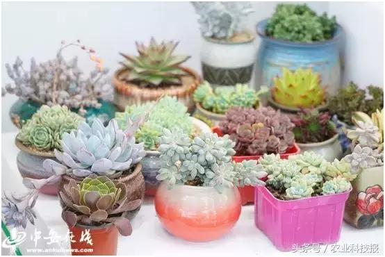 从垃圾里捡的东西变废为宝,从废物到宝物