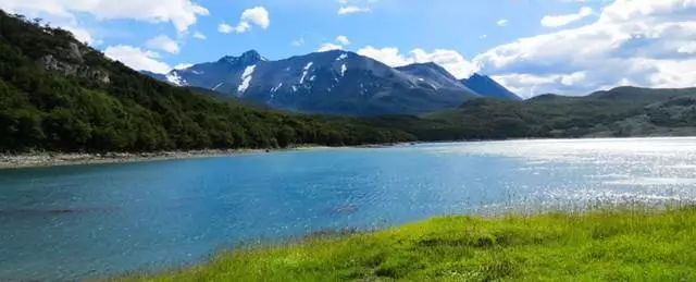 世界杯决赛潘帕斯雄鹰高卢,格子军团vs潘帕斯雄鹰复仇之刃