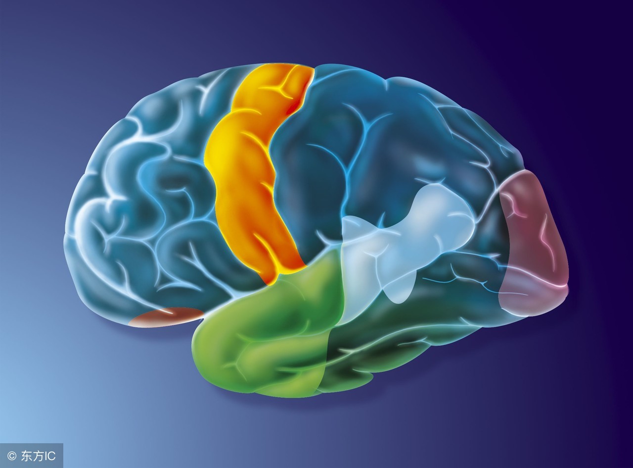 请问孩子记忆力差怎样才能提高,生完孩子记忆力严重下降怎么办