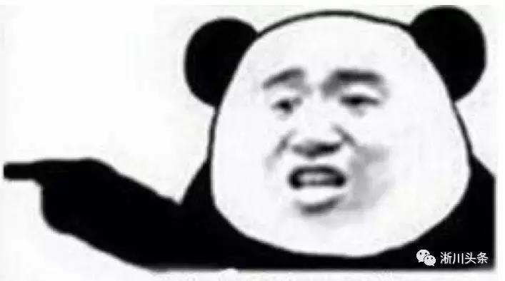 淅川来了仨“老外”，干啥？