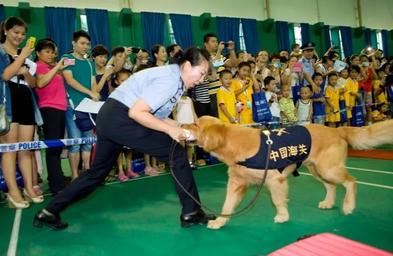 拱北海关缉毒犬,缉毒犬拱北海关