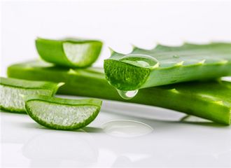 被海南蚊子咬了如何止痒,蚊子咬擦什么药快速止痒