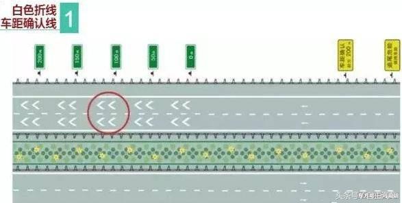 交规冷知识图片大全,马路小白杀手图片