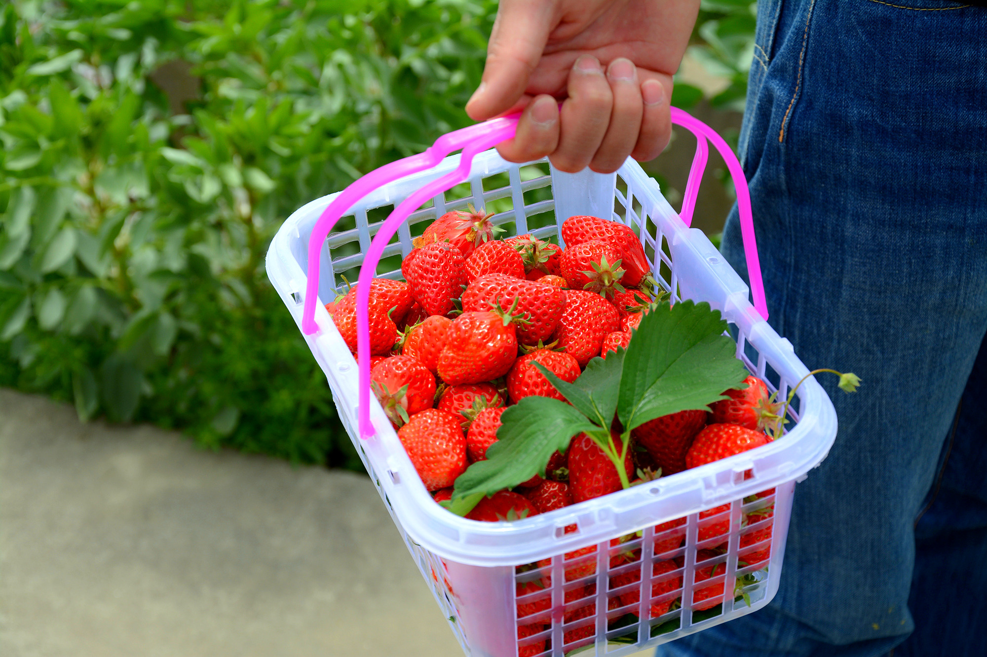 苏州哪些景点可以看小桥流水,只有老苏州人才知道的小众景点