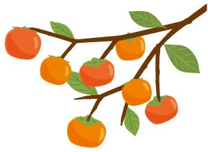 杨梅别只用清水洗教你正确方法,杨梅怎么吃是正确的方法