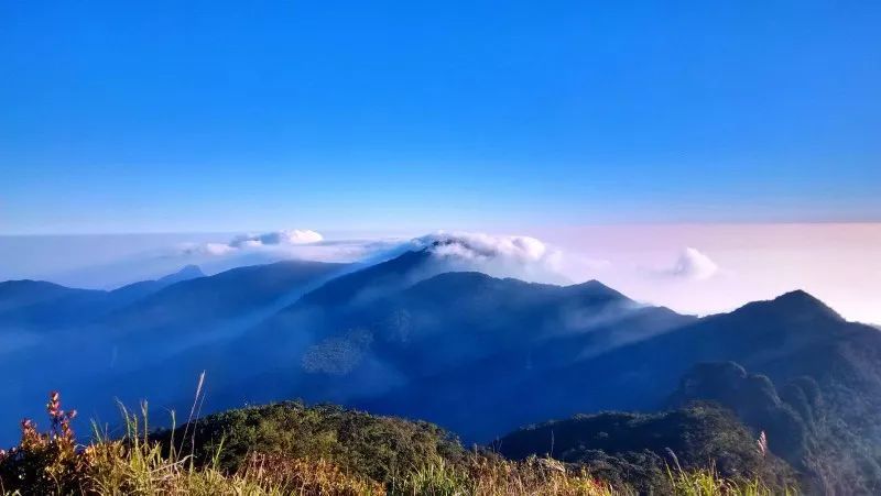 最美县域榜单2021,2020甘肃最美县域榜单