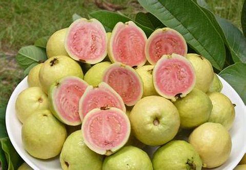 与榴莲一样，爱它的人着迷，讨厌它的人避而远之！农村里的野果子