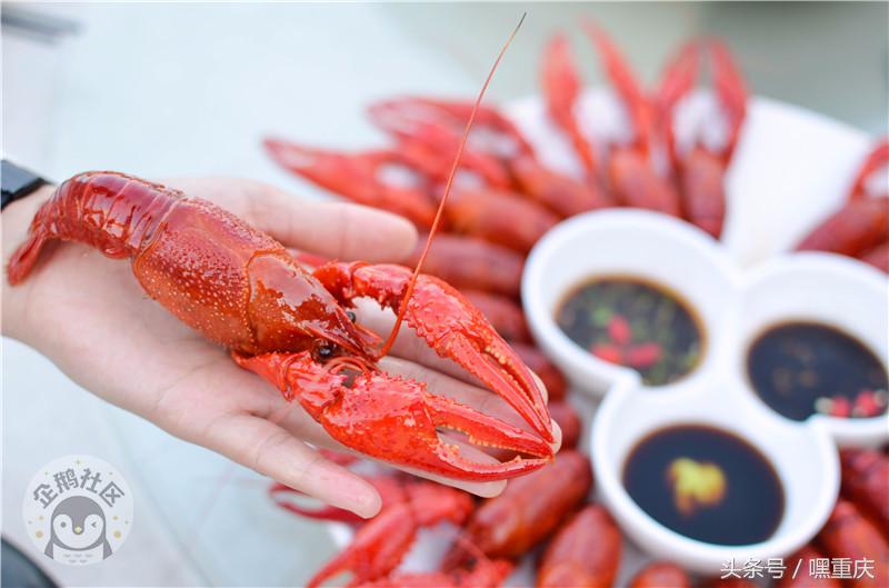 重庆南坪世界杯看球地点,重庆看世界杯推荐去处