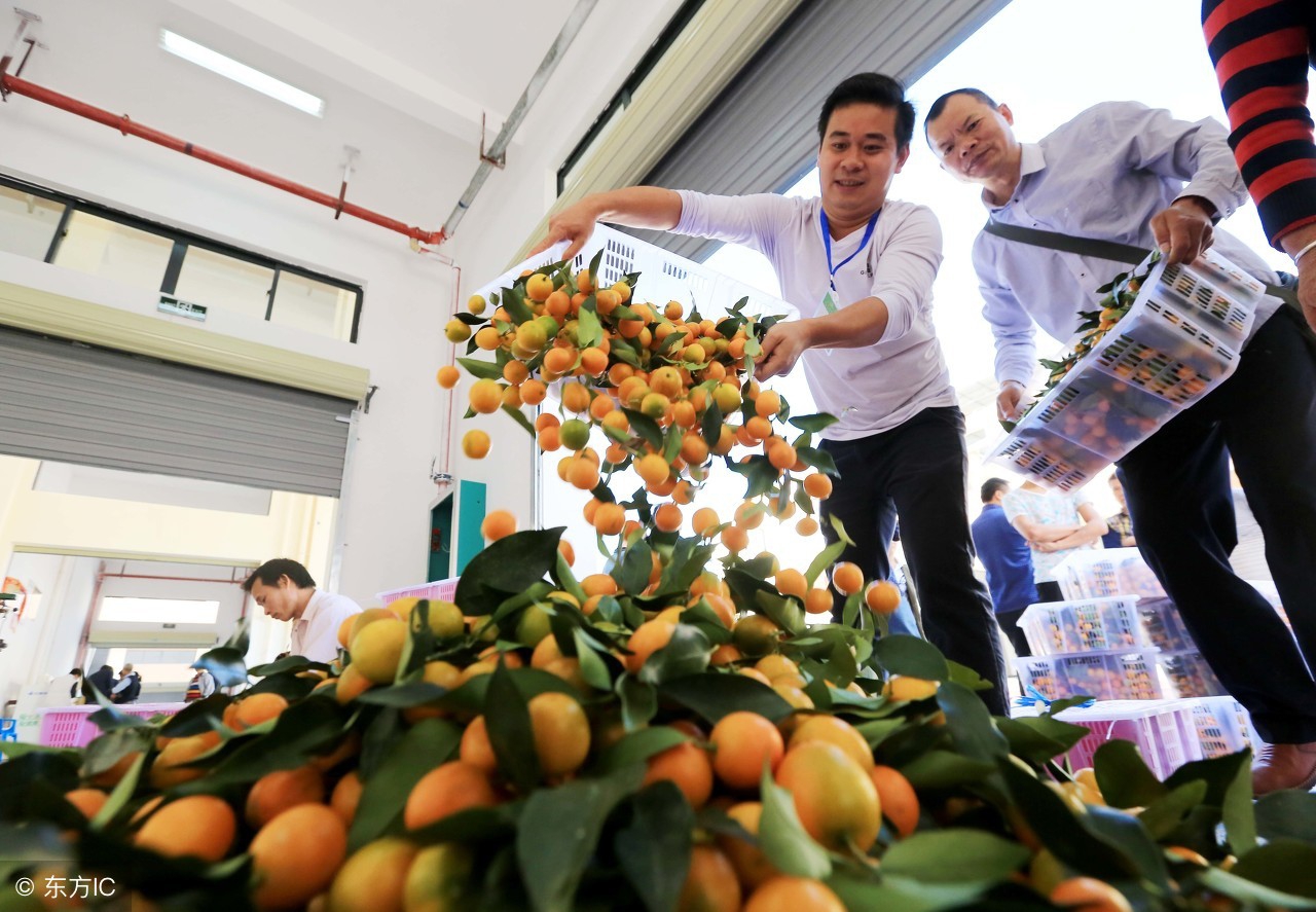 跨境出口电商主要物流模式详解，卖家如何选择物流方式？