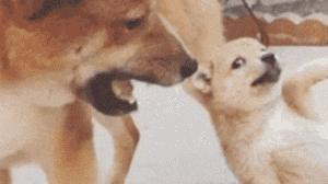 女人气若幽兰是怎么回事,女人气若幽兰形容什么