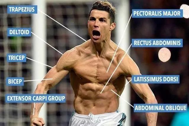 詹姆斯自律到底多可怕,詹姆斯自律的励志视频