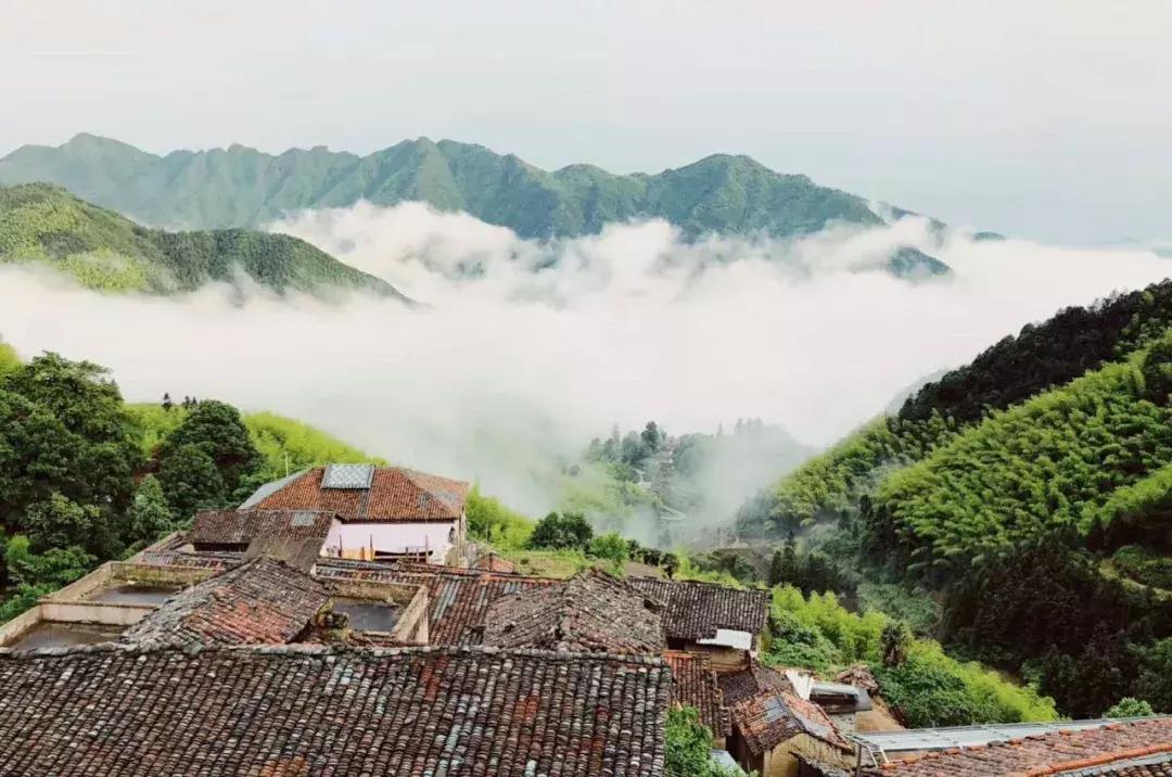 蓝宝书好吗,浙江民宿经营现状