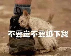 世界杯足球金句,世界杯土话对话