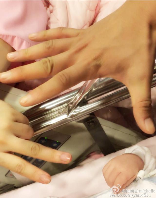 陈晓张杰综艺,张杰陈晓袁弘董子健