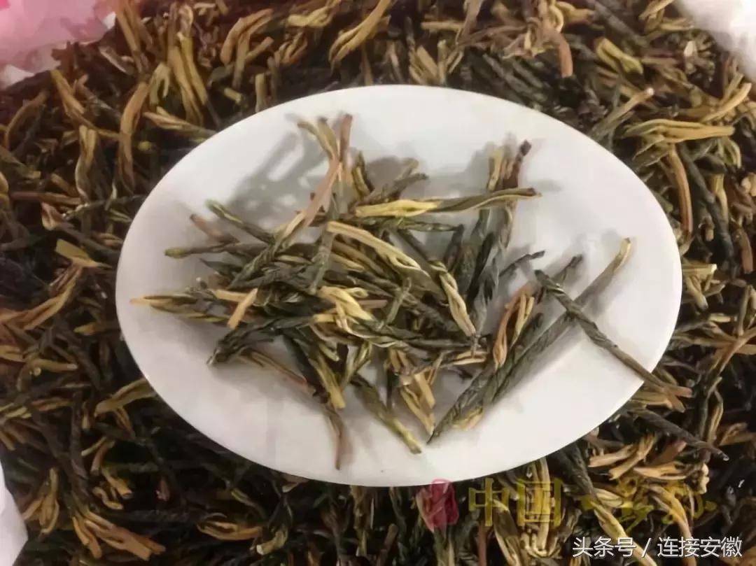 安徽这座城市被评为十大魅力城市,安徽最受重视的县