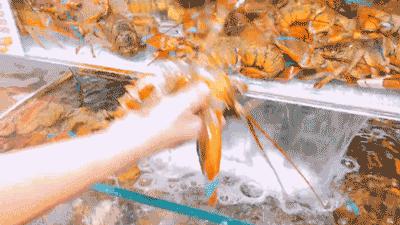 在北京吃只大龙虾只要70块？我被这家超市实力圈粉了！