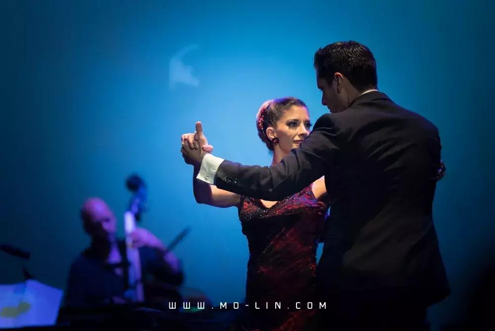 阿根廷以后输不输球,阿根廷2-0没输过