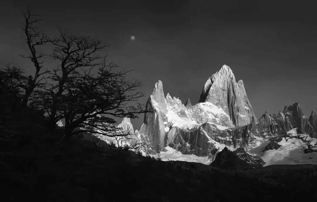 阿根廷以后输不输球,阿根廷2-0没输过