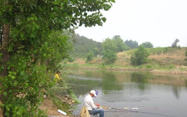 草鱼钓起来怎么老是漂着,草鱼如何钓不掉头