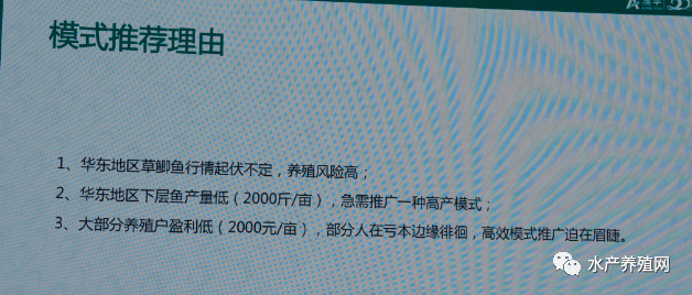 澳华总裁,澳华集团董事长许愿斌