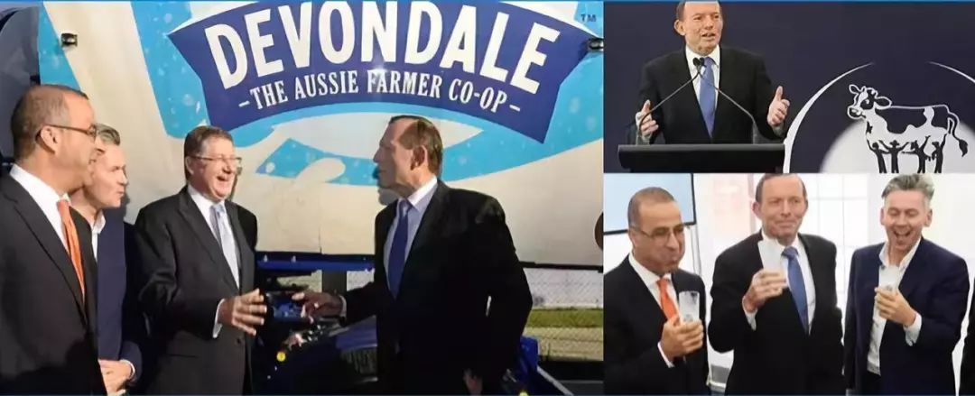 一条货架｜来自澳大利亚的“德运”奶粉；收起来只有巴掌大的拖鞋