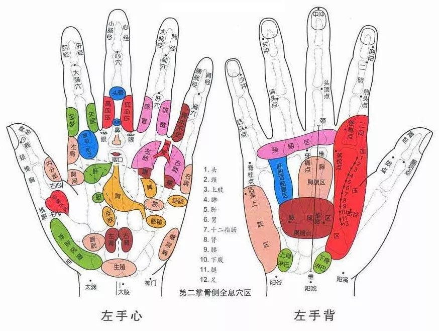 手的健康识别,手型看健康