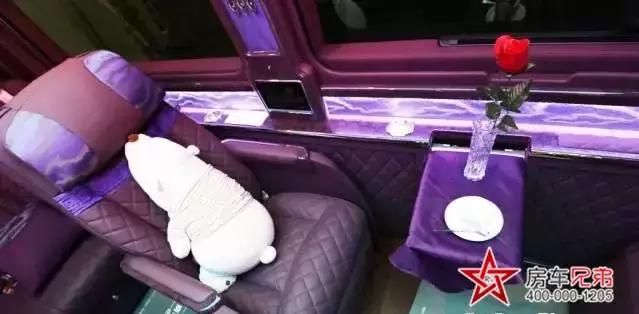 斯宾特紫锦视频,进口奔驰斯宾特紫锦版