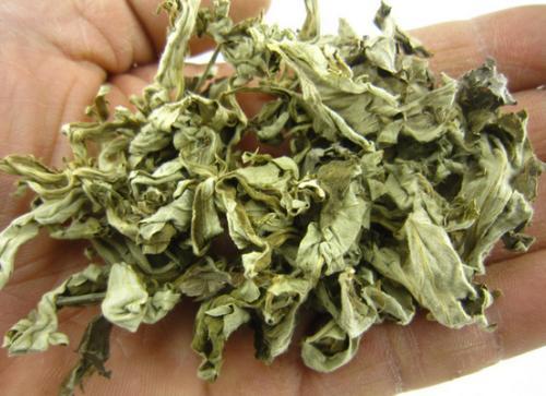 怎样识别艾草菖蒲,艾草怎么识别真假