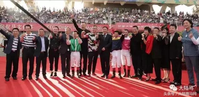 内蒙古伊泰大漠马业在哪里,内蒙古伊泰大漠马业