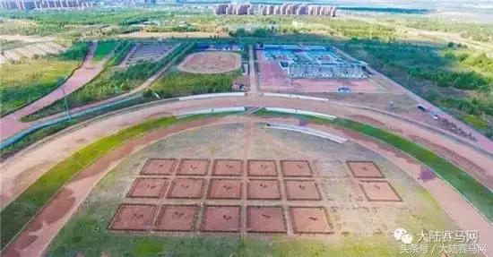 伊泰大漠马场,内蒙古伊泰杯2023