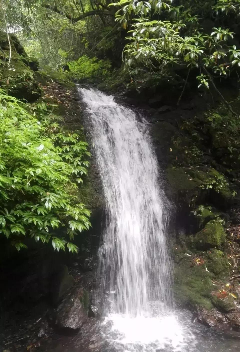 成都周边小众森林秘境,成都周边有山有水还免费的地方