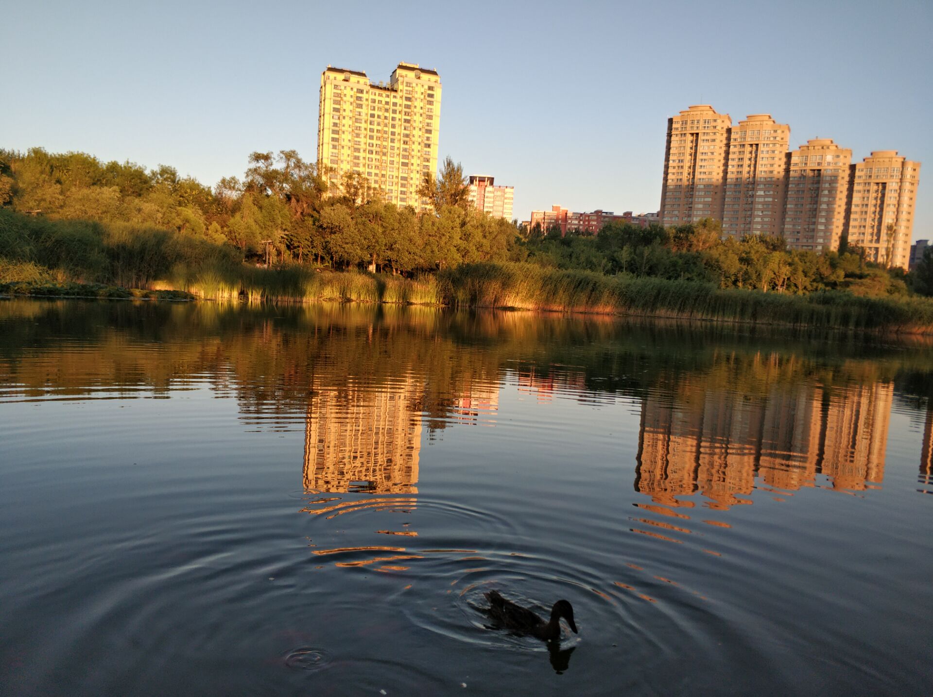 乌鲁木齐南湖美景图,乌鲁木齐南湖公园景区美图