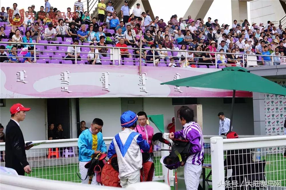 马术比赛纯血马,2018蒙古赛马传统耐力赛视频