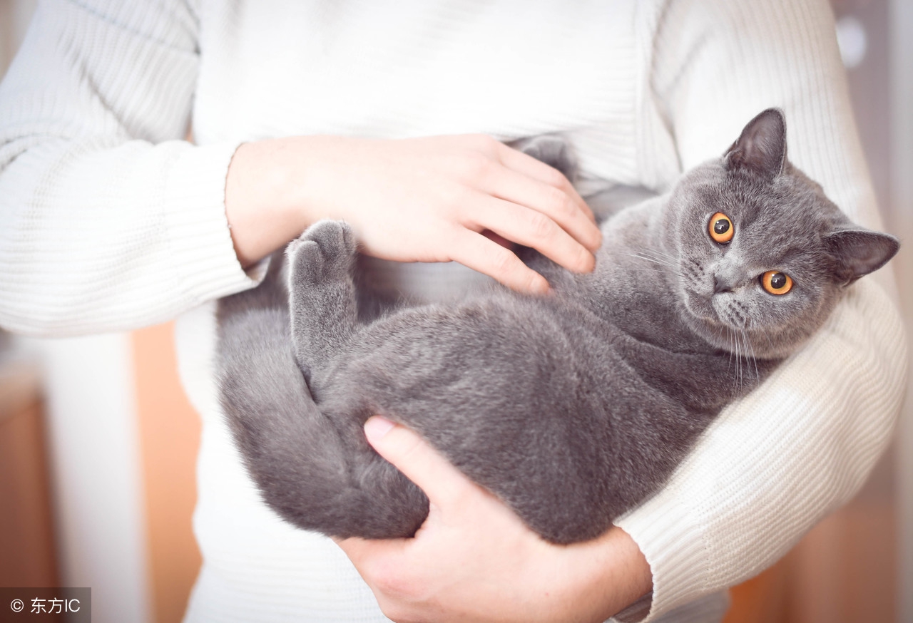 真相：关于孕期的六大谣言