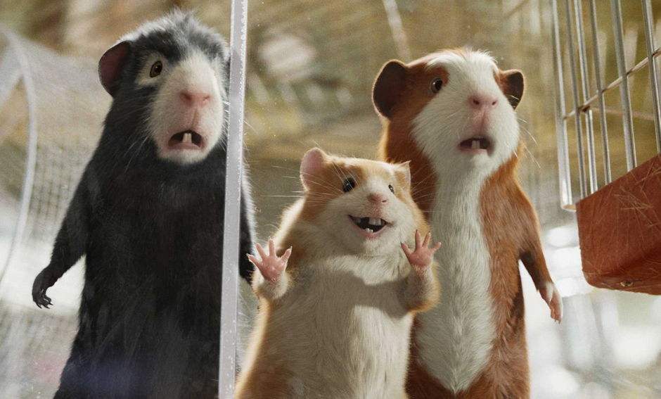 1996属鼠2023年运势,属鼠的人婚姻和运程怎么样