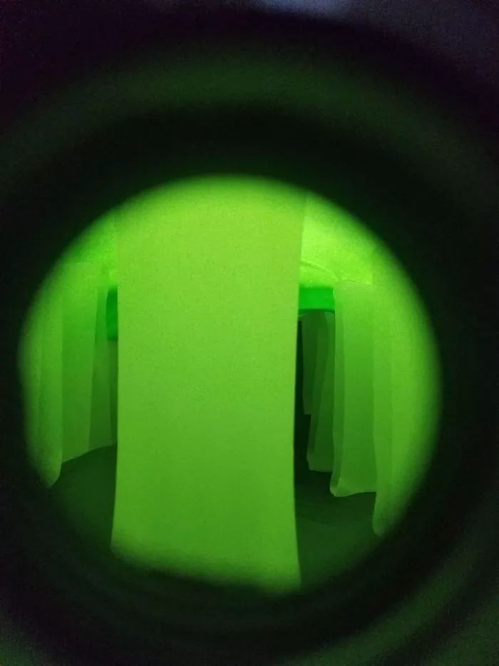 28张活久见的罕见照片,活久见100张图片