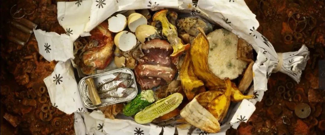 爱狗人士看的电影,爱狗人士必看的6部温情日本电影