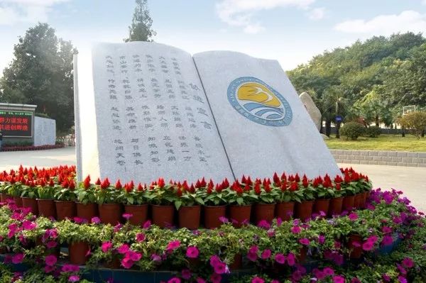 回忆我在南京的日常,在南京上学的感觉