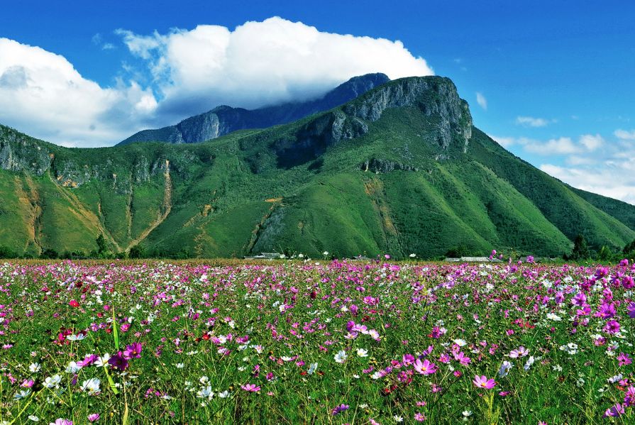 驻足眼前美景,泸沽湖的静谧之美