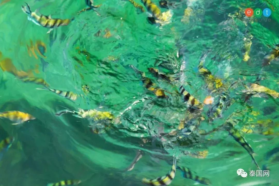 泰国十大好玩的岛屿,泰国适合夏天去的海岛