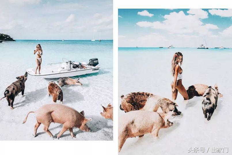 涓栫晫鏉ソ鐪嬪湪鍝効,涓栫晫鏉湡鐨勫ソ鐪嬩箞