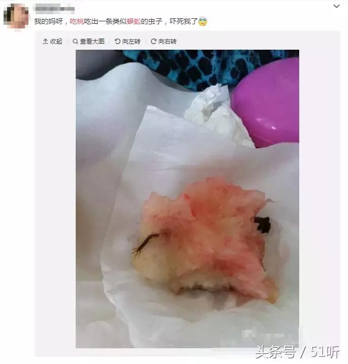 吃桃吃出蚂蚁窝,吃桃被蜈蚣咬视频