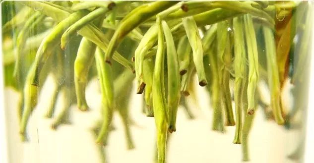 茶香四溢的中国十大名茶,中国最好的10款茶